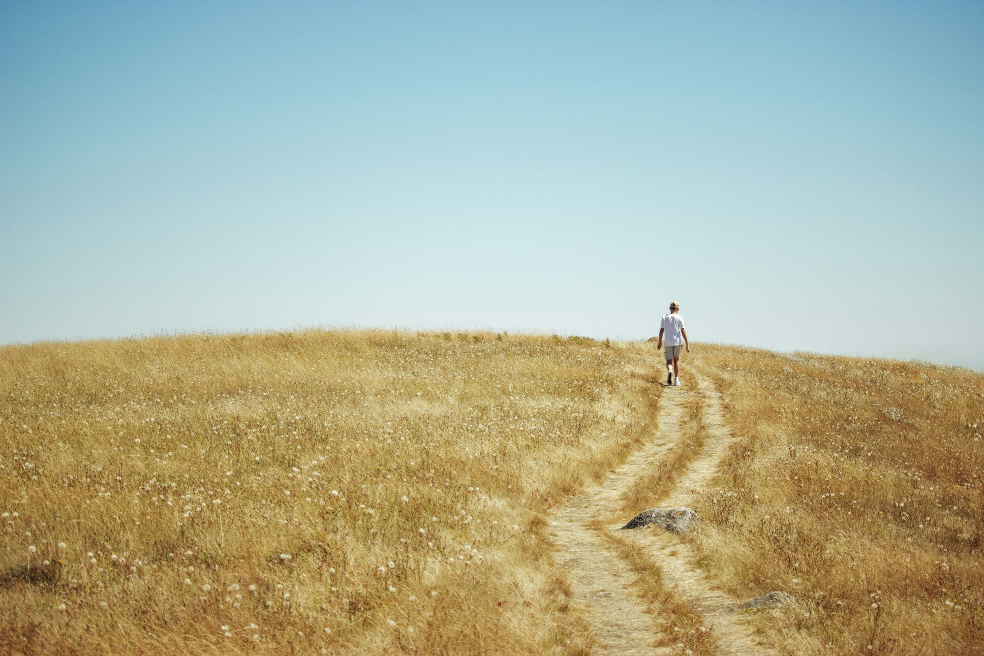 A figure walking a sunlit path through golden grass toward the horizon